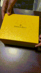 AP Royal Oak | Blue Dial